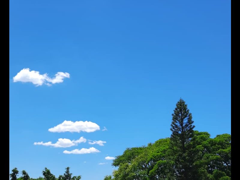 Apartamento à venda Glória com 38m² e 2 quartos por R$ 150.000 - 1285332740-img-20220404-wa0022.jpg