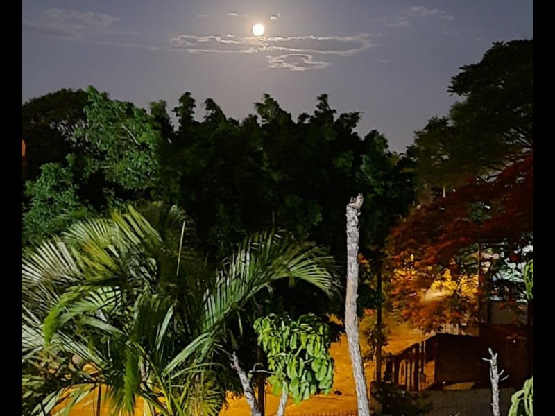 Apartamento à venda Glória com 38m² e 2 quartos por R$ 150.000 - 1679914097-img-20220404-wa0040.jpg