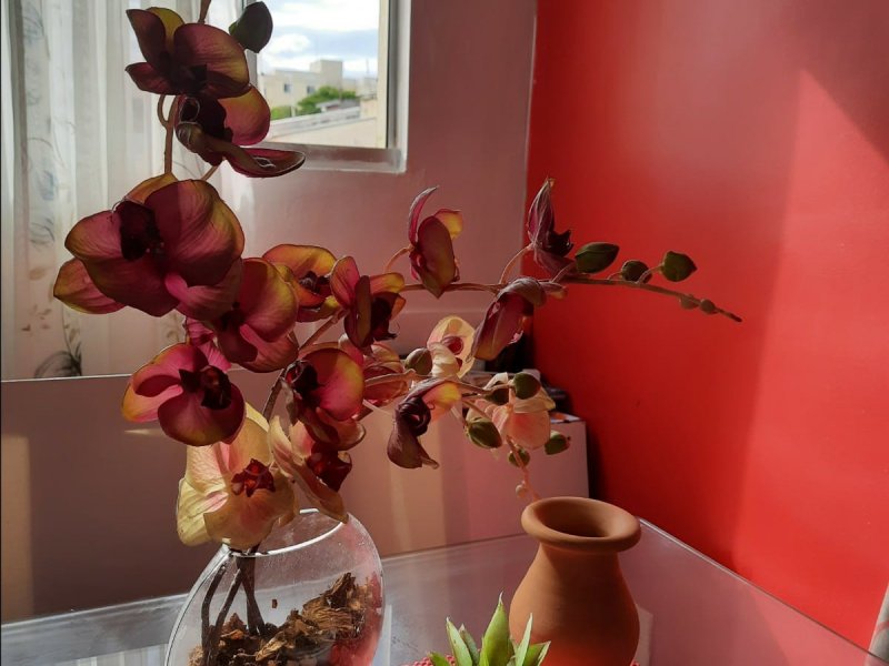 Apartamento à venda Glória com 38m² e 2 quartos por R$ 150.000 - 452119305-img-20220404-wa0039.jpg