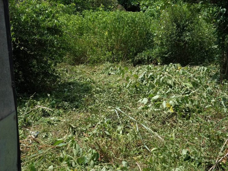 Terreno à venda Jardim Rotsen com 480m² e 1 quarto por R$ 120.000 - 1014590308-img-20220319-wa0032.jpg