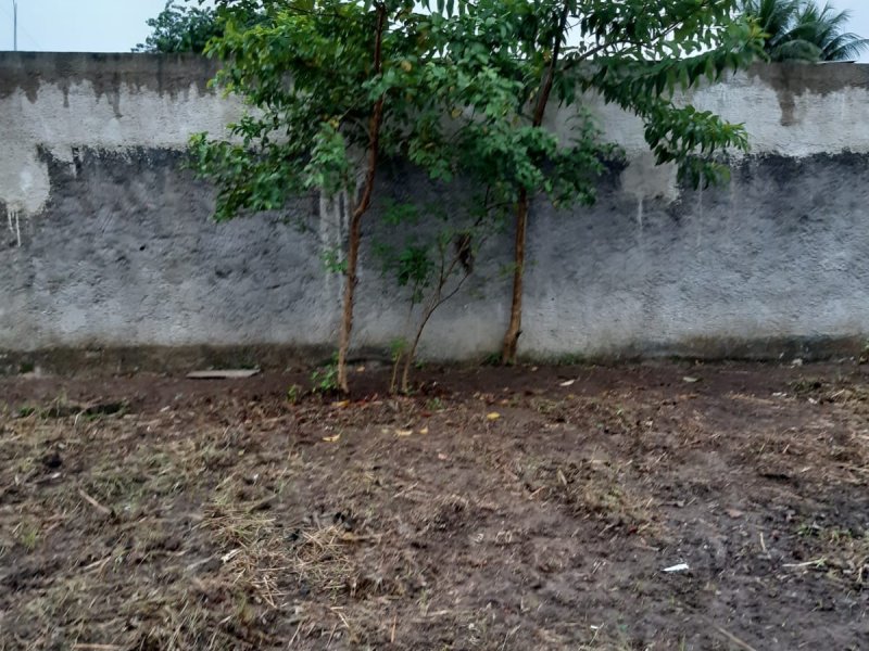 Terreno à venda Jardim Rotsen com 480m² e 1 quarto por R$ 120.000 - 1845775196-img-20220115-wa0056.jpg