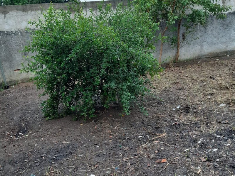 Terreno à venda Jardim Rotsen com 480m² e 1 quarto por R$ 120.000 - 2090963627-img-20220115-wa0054.jpg