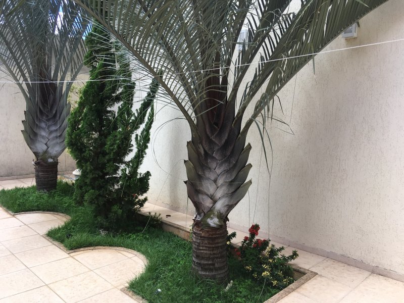 Casa à venda Carlos Prates com 250m² e 3 quartos por R$ 990.000 - 1979758766-2aa0f4b6-2b53-4e97-9528-e55980f2ae4e.jpeg