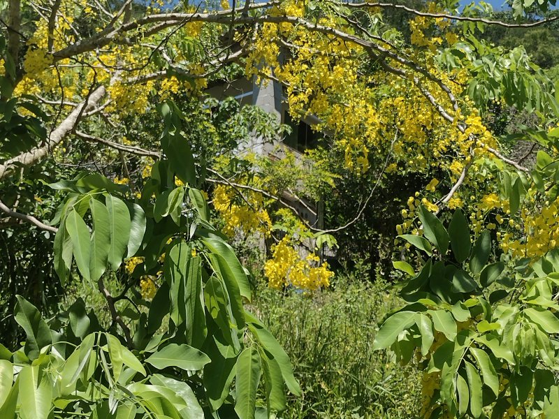 Sítio à venda centro com 14000m² e 2 quartos por R$ 220.000 - 1162996838-img-20211221-102010688-hdr.jpg