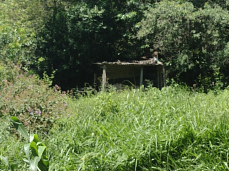 Sítio à venda centro com 14000m² e 2 quartos por R$ 220.000 - 1232239263-img-20211221-101812482.jpg