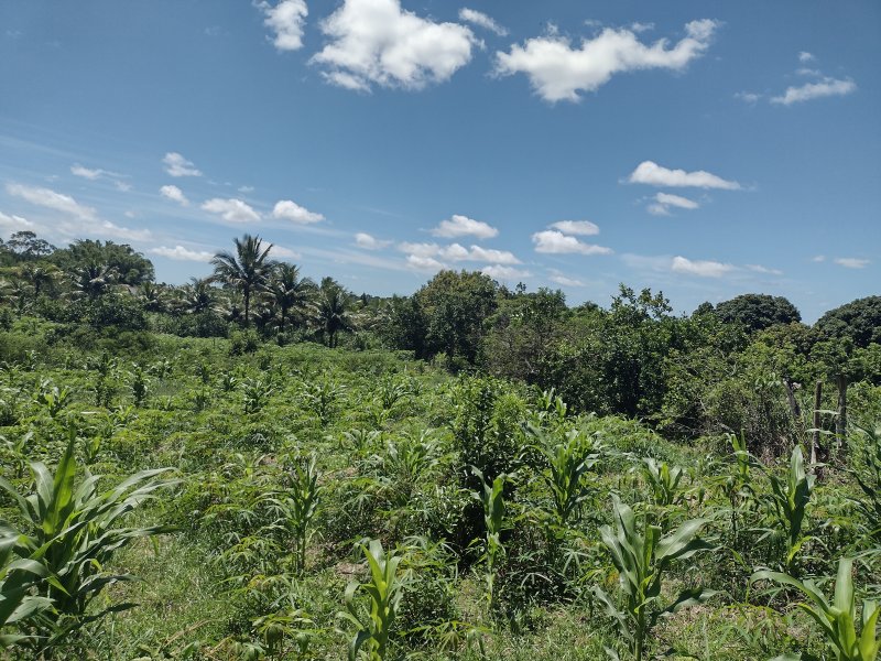 Sítio à venda centro com 14000m² e 2 quartos por R$ 220.000 - 1728477567-img-20211221-102347345-hdr.jpg