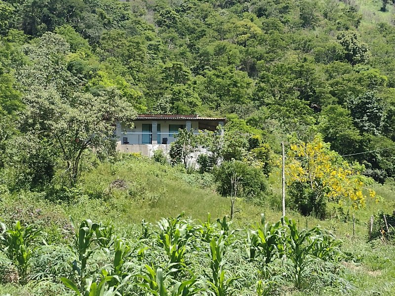 Sítio à venda centro com 14000m² e 2 quartos por R$ 220.000 - 2091269322-img-20211221-102426275.jpg