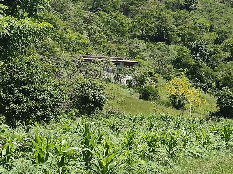 Sítio à venda centro com 14000m² e 2 quartos por R$ 220.000 - 462317836-img-20211221-102517973.jpg