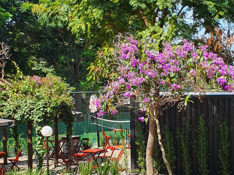 Casa à venda Boa esperança  com 409m² e 4 quartos por R$ 440.000 - 862897078-20220226-094515.jpg