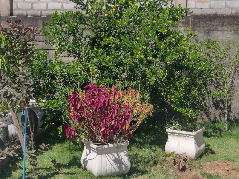 Chácara à venda Portões com 600m² e 3 quartos por R$ 1.400.000 - 2025108400-img-20220309-140146058-hdr.jpg