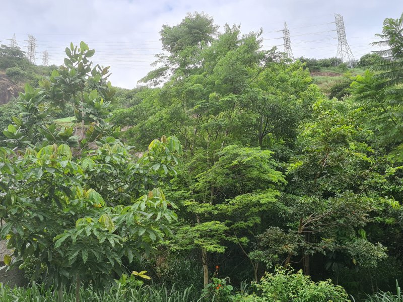 Apartamento à venda São Lourenço com 56m² e 1 quarto por R$ 230.000 - 1043900640-20220216-112018.jpg