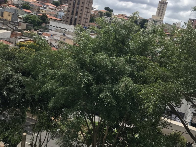 Apartamento à venda Jardim Paraíso com 70m² e 2 quartos por R$ 460.000 - 1610029331-2f19c5b3-9197-4b0e-ae15-5b3a4adbe776.jpeg