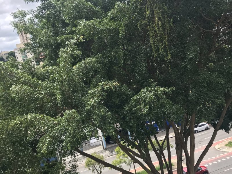 Apartamento à venda Jardim Paraíso com 70m² e 2 quartos por R$ 460.000 - 275463626-edd48fbe-784b-4770-82e9-946b9915a64e.jpeg