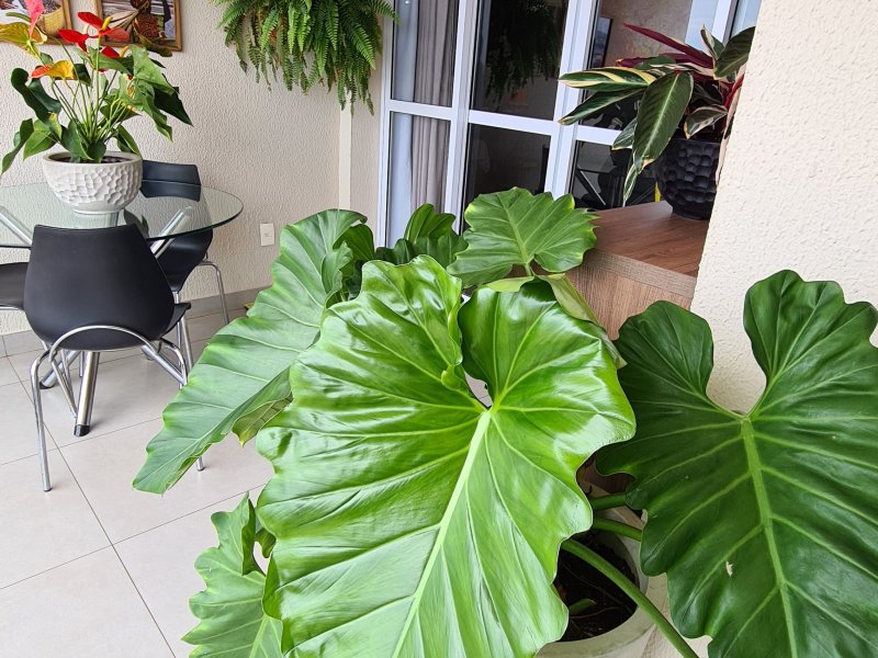 Apartamento à venda Jardim Elite com 97m² e 3 quartos por R$ 770.000 - 285569648-20210131-113459.jpg