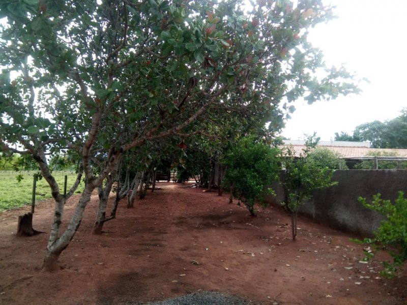 Chácara à venda Centro com 70000m² e 4 quartos por R$ 530.000 - 1074206394-img-20220212-wa0034.jpg