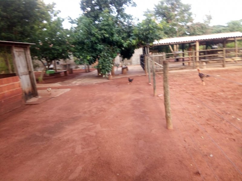 Chácara à venda Centro com 70000m² e 4 quartos por R$ 530.000 - 1419507015-img-20220212-wa0019.jpg