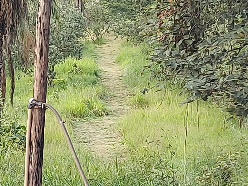 Chácara à venda N. Sra da Paz com 5000m² e 1 quarto por R$ 190.000 - 1905007544-20220407-171931.jpg