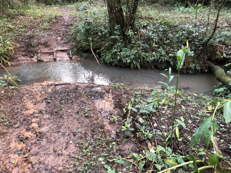 Chácara à venda Centro com 10000m² e 2 quartos por R$ 160.000 - 1264770044-2022-06-28-16-37-img-0792.JPG