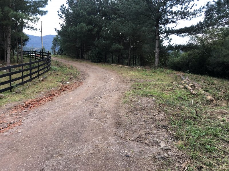 Chácara à venda Centro com 10000m² e 2 quartos por R$ 160.000 - 1669274805-2022-06-28-16-49-img-0805.JPG