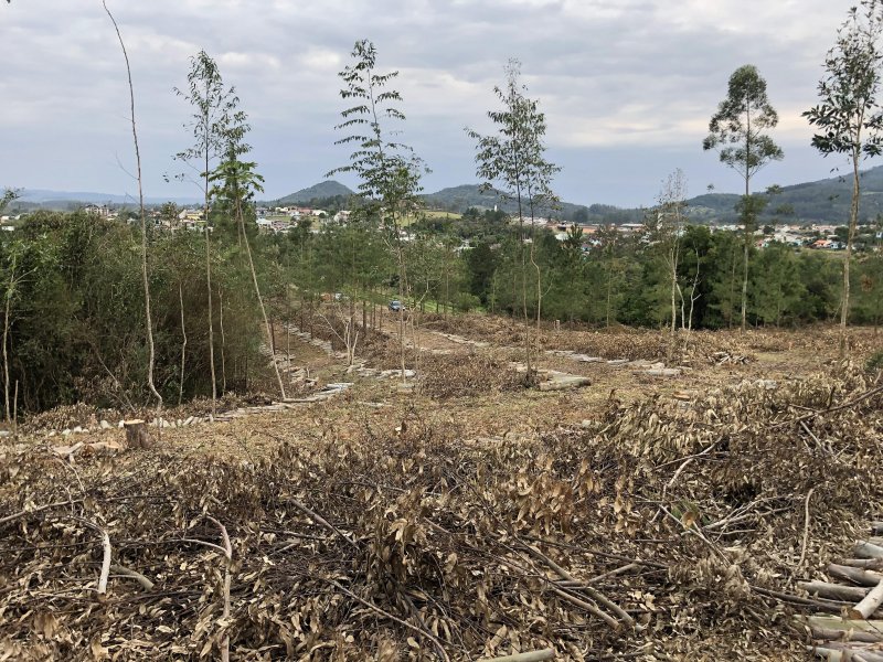 Chácara à venda Centro com 10000m² e 2 quartos por R$ 160.000 - 1736692093-2022-06-28-16-45-img-0800.JPG