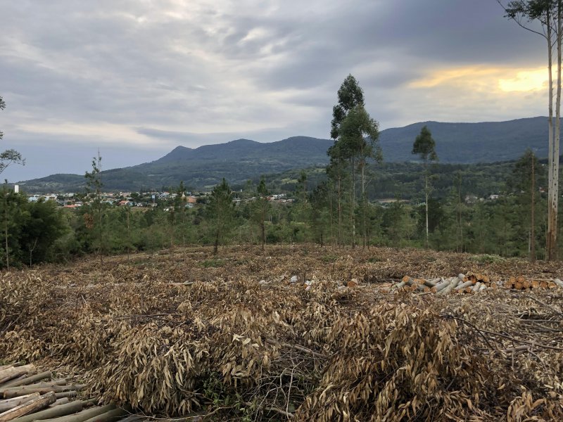 Chácara à venda Centro com 10000m² e 2 quartos por R$ 160.000 - 589871576-2022-06-28-16-46-img-0801.JPG