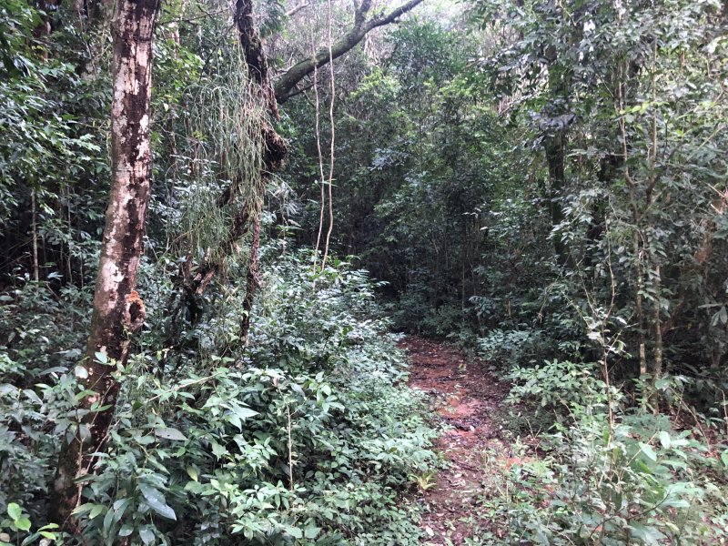 Chácara à venda Centro com 10000m² e 2 quartos por R$ 160.000 - 636269277-2022-06-28-16-37-img-0793.JPG