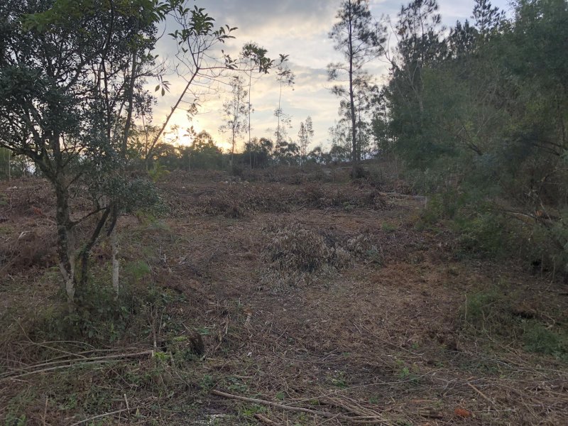 Chácara à venda Centro com 10000m² e 2 quartos por R$ 160.000 - 659392316-2022-06-28-16-36-img-0790.JPG