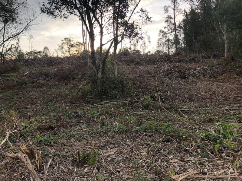 Chácara à venda Centro com 10000m² e 2 quartos por R$ 160.000 - 89157259-2022-06-28-16-36-img-0789.JPG