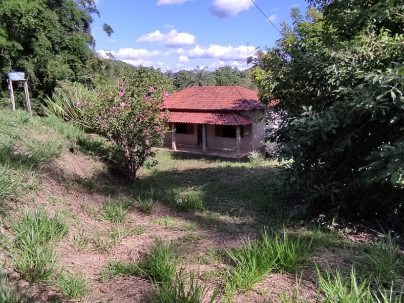 Sítio à venda Centro com 10000m² e 3 quartos por R$ 265.000 - 146466290-whatsapp-image-2022-03-24-at-09.jpeg