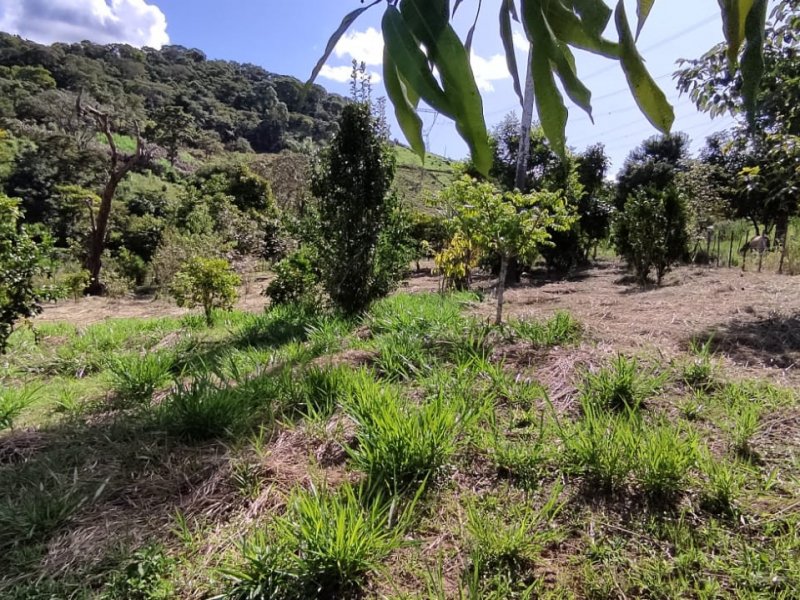 Sítio à venda Centro com 10000m² e 3 quartos por R$ 265.000 - 1719452755-whatsapp-image-2022-03-24-at-09.jpeg