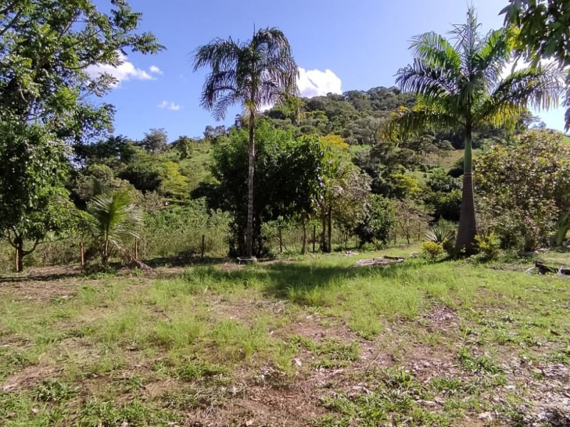 Sítio à venda Centro com 10000m² e 3 quartos por R$ 265.000 - 815808017-whatsapp-image-2022-03-24-at-09.jpeg