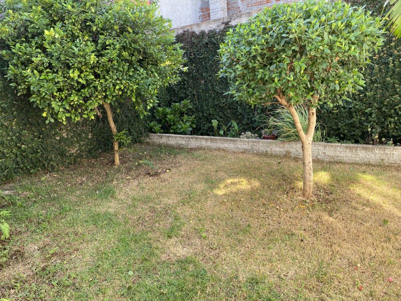 Casa à venda Parque Verde com 60m² e 2 quartos por R$ 295.000 - 582681472-img-5824.JPG