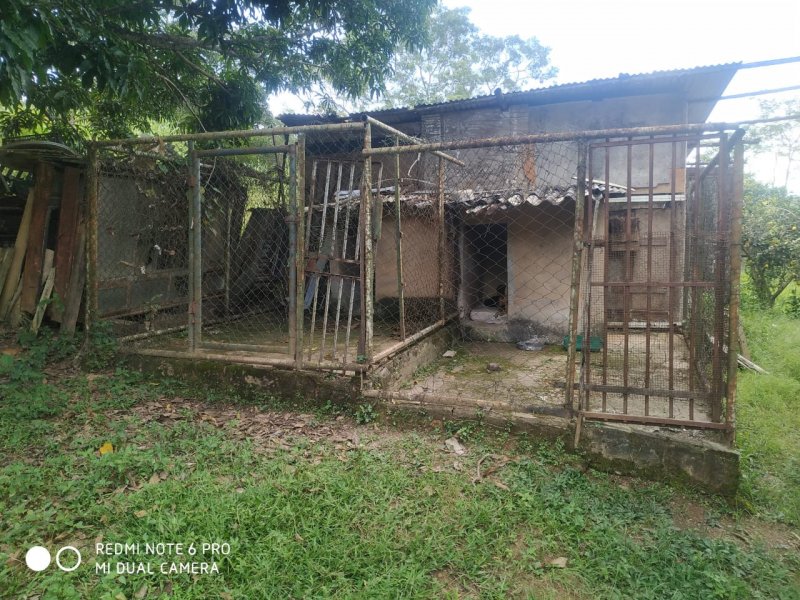 Chácara à venda Centro com 80m² e 4 quartos por R$ 900.000 - 1375066218-whatsapp-image-2022-04-12-at-17.jpeg