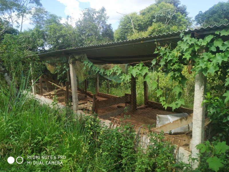 Chácara à venda Centro com 80m² e 4 quartos por R$ 900.000 - 513761562-whatsapp-image-2022-04-12-at-17.jpeg