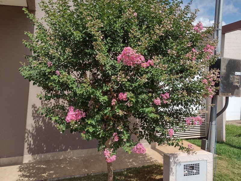 Casa de condomínio à venda Jardim Tijuca com 67m² e 2 quartos por R$ 280.000 - 1152581038-img-20211127-085938551-hdr.jpg