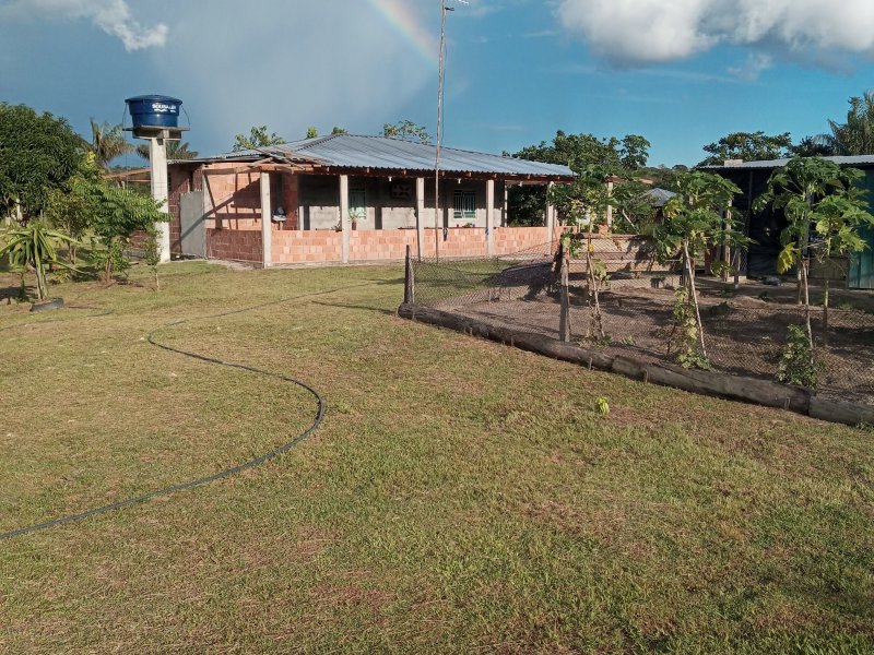 Sítio à venda Pau rosa com 400m² e 2 quartos por R$ 100.000 - 1057848572-20220119-165416.jpg