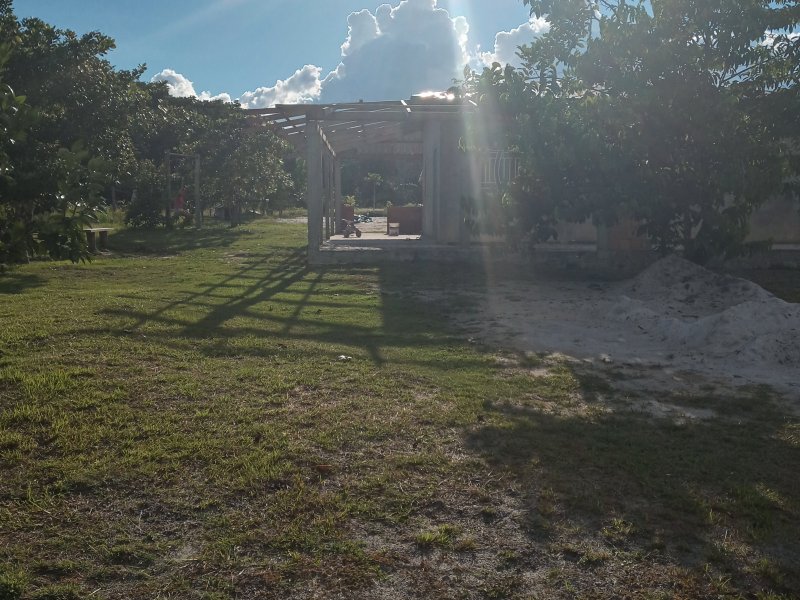 Sítio à venda Pau rosa com 400m² e 2 quartos por R$ 100.000 - 1887570362-20220119-164503-hdr.jpg