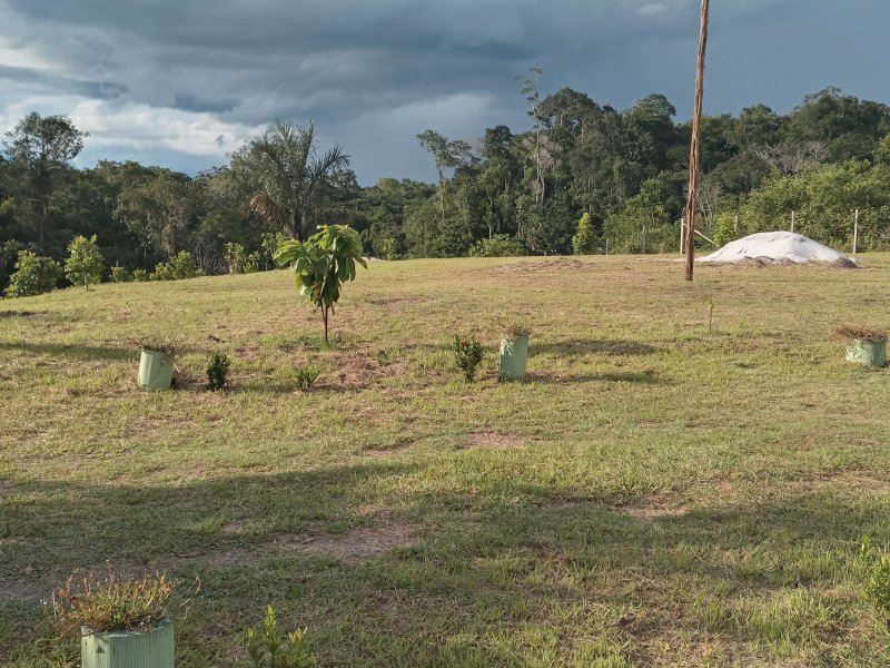 Sítio à venda Pau rosa com 400m² e 2 quartos por R$ 100.000 - 1987415146-20220119-164515-hdr.jpg
