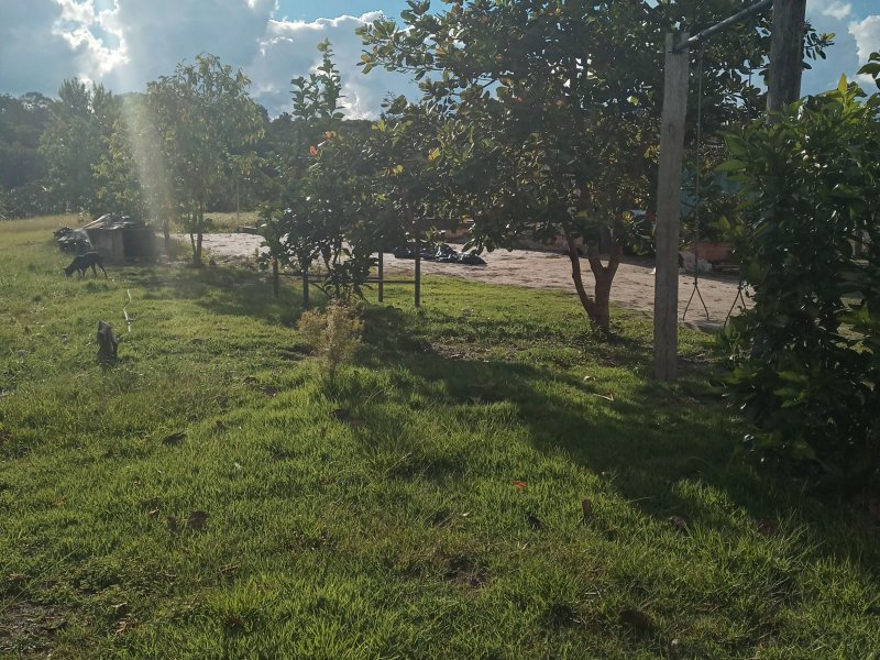 Sítio à venda Pau rosa com 400m² e 2 quartos por R$ 100.000 - 958438363-20220119-164419-hdr.jpg