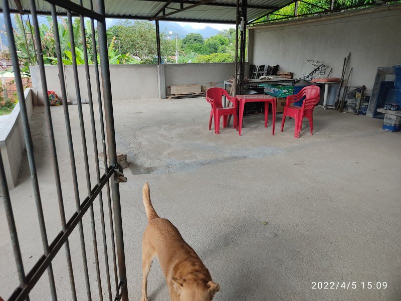 Casa à venda São Geraldo com 279m² e 2 quartos por R$ 270.000 - 553479518-img-20220405-150948.jpg