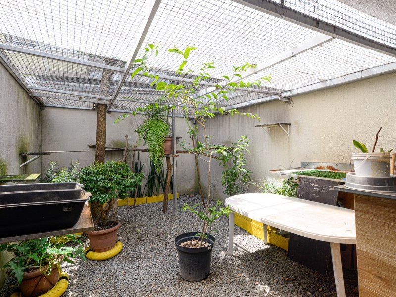 Casa à venda Vila Paulicéia com 168m² e 3 quartos por R$ 898.000 - 595350850-jardim.jpg