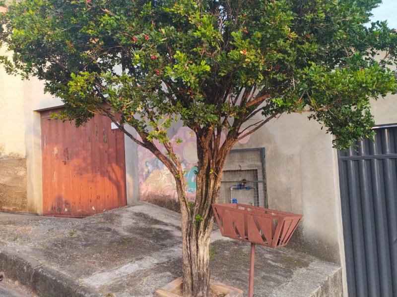 Terreno à venda Milionários (Barreiro) com 180m² e 1 quarto por R$ 269.000 - 1799212031-12.jpeg