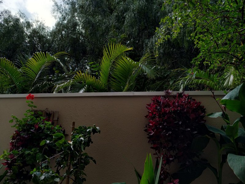 Apartamento à venda Jardim Tupanci com 113m² e 3 quartos por R$ 798.000 - 1338154855-apto13d-garden-vista-para-fora.jpg