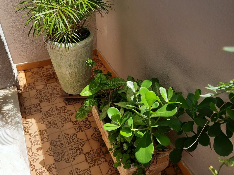 Apartamento à venda Vila Medeiros com 70m² e 2 quartos por R$ 350.000 - 1621050134-20220322-134722.jpg