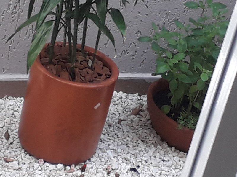 Casa à venda Jardim Esplanada com 230m² e 4 quartos por R$ 1.299.000 - 1391996880-img-20200612-wa0026.jpeg