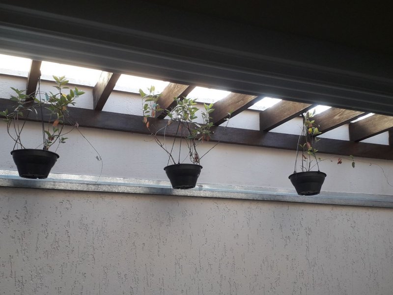 Casa à venda Jardim Esplanada com 230m² e 4 quartos por R$ 1.299.000 - 1948404421-ca2ebca5-bd12-4fa9-ac1e-af9b8f0a732c.jpg