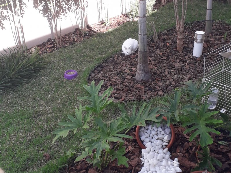 Casa à venda Jardim Esplanada com 230m² e 4 quartos por R$ 1.299.000 - 386963966-img-20200612-wa0007.jpeg