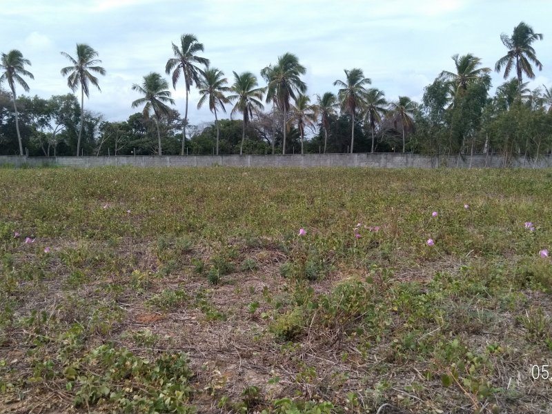 Casa de condomínio à venda Muçumagro com 105m² e 3 quartos por R$ 250.000 - 1504274997-p-20220105-091427-p.jpg