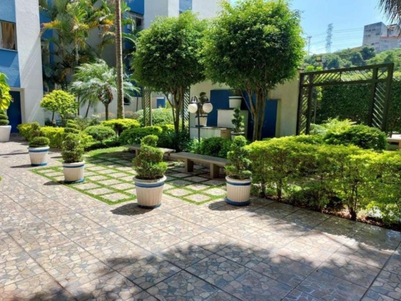 Apartamento à venda Jardim Santa Teresinha com 55m² e 3 quartos por R$ 260.000 - 646575038-jardim-2.jpeg