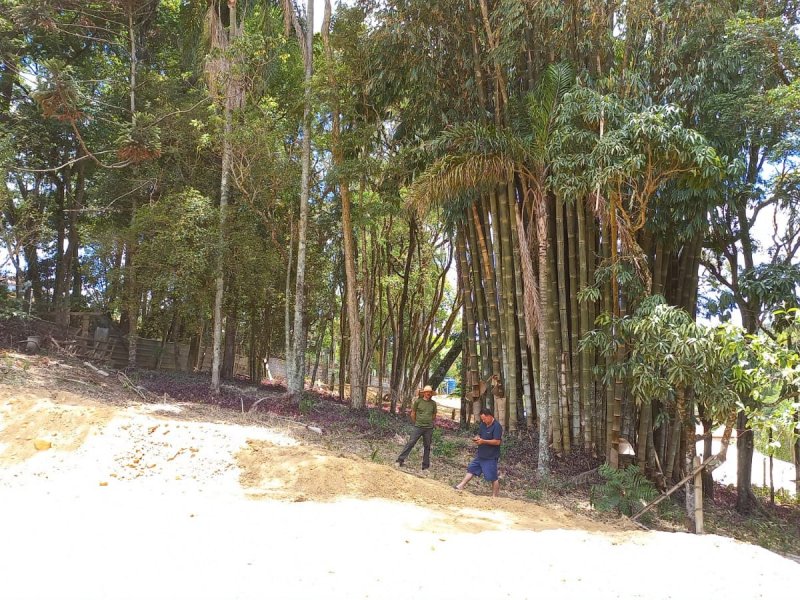 Terreno à venda centro com 3531m² e 1 quarto por R$ 220.000 - 1686343342-11.jpeg